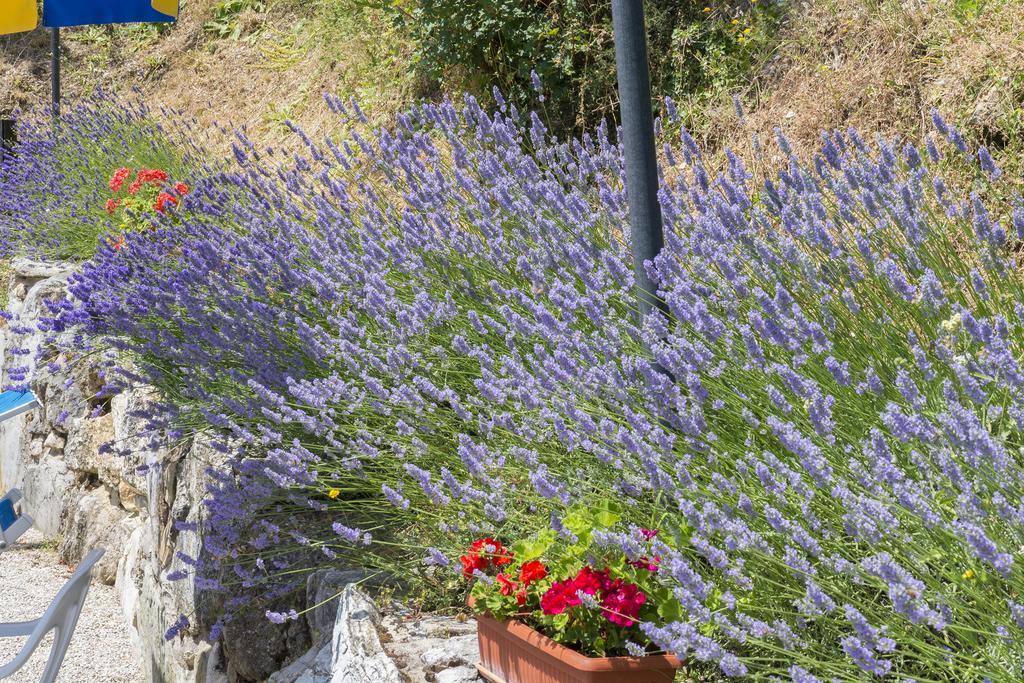 Agriturismo Monte Acuto Umbertide Εξωτερικό φωτογραφία